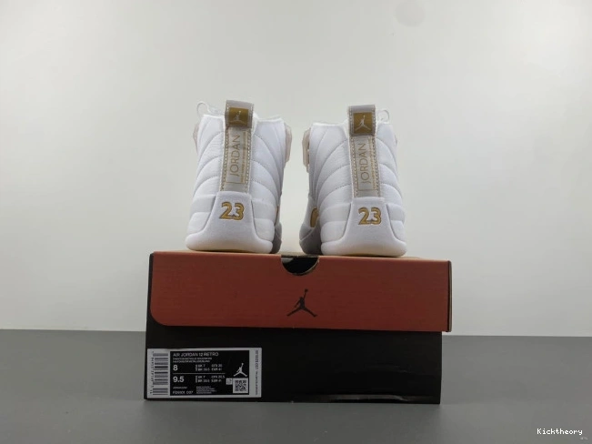 Kick Theory Air WMNS FD9101-007 Phantom Jordan 12 0814